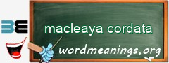 WordMeaning blackboard for macleaya cordata